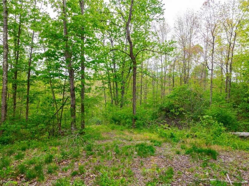 37795 Sheep Skin Ridge , Lower Salem, OH 45745 Photo 23