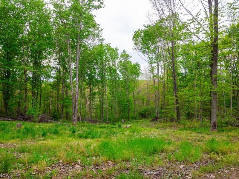 37795 Sheep Skin Ridge , Lower Salem, OH 45745 Photo 26