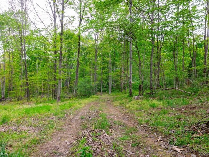 37795 Sheep Skin Ridge , Lower Salem, OH 45745 Photo 28