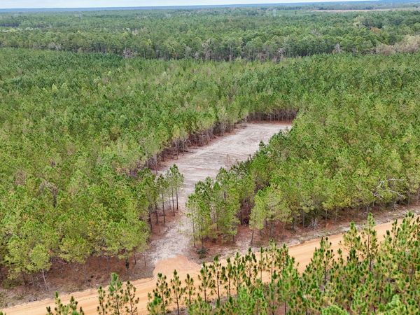 TRACT 7 AND 8 Penny Morris Road, Baxley, GA 31513