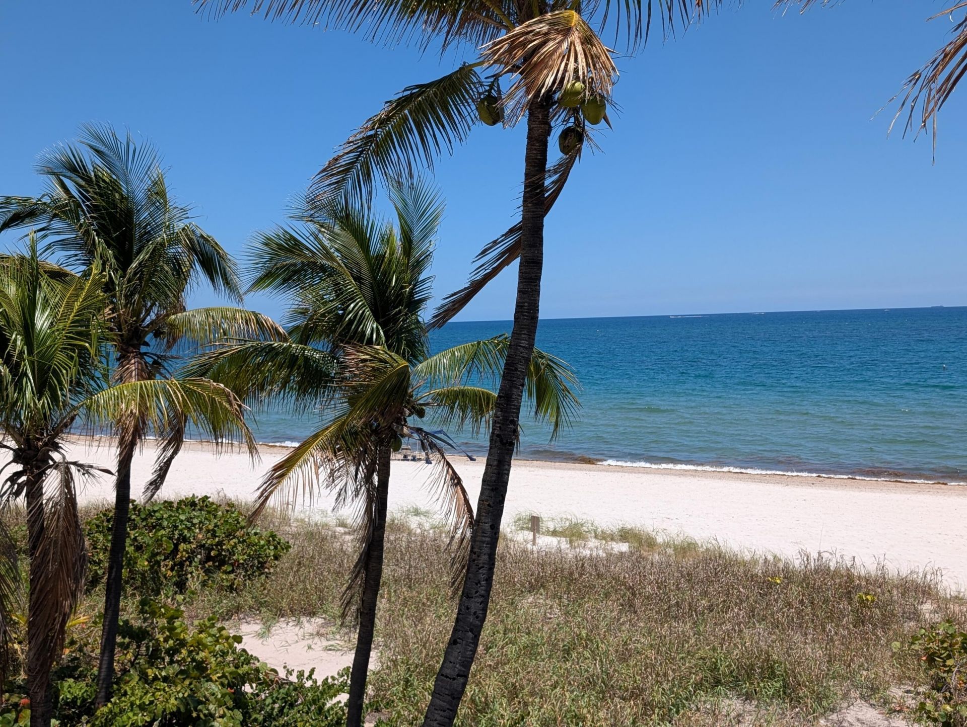 1370 S Ocean Boulevard S, Unit 1403, Pompano Beach, FL 33062 Photo