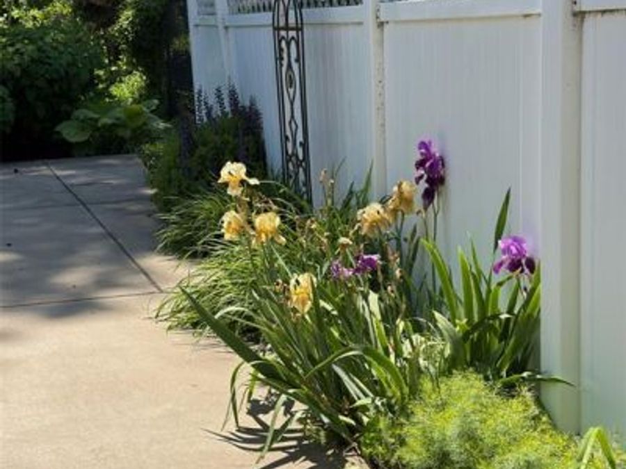 Property Image 92