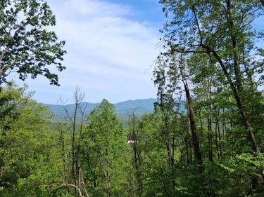 0 Robinson Gap Road, Monroe, VA 24574