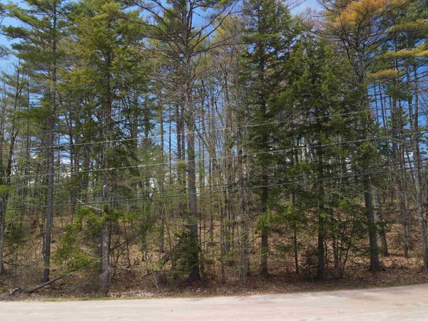 12 Eidelweiss Drive, Madison, NH 03849