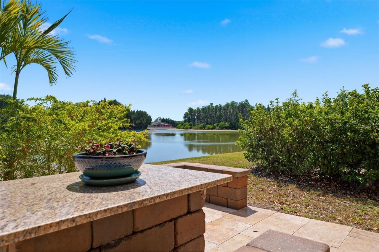12010 Lake Boulevard, New Port Richey, FL 34655 Photo