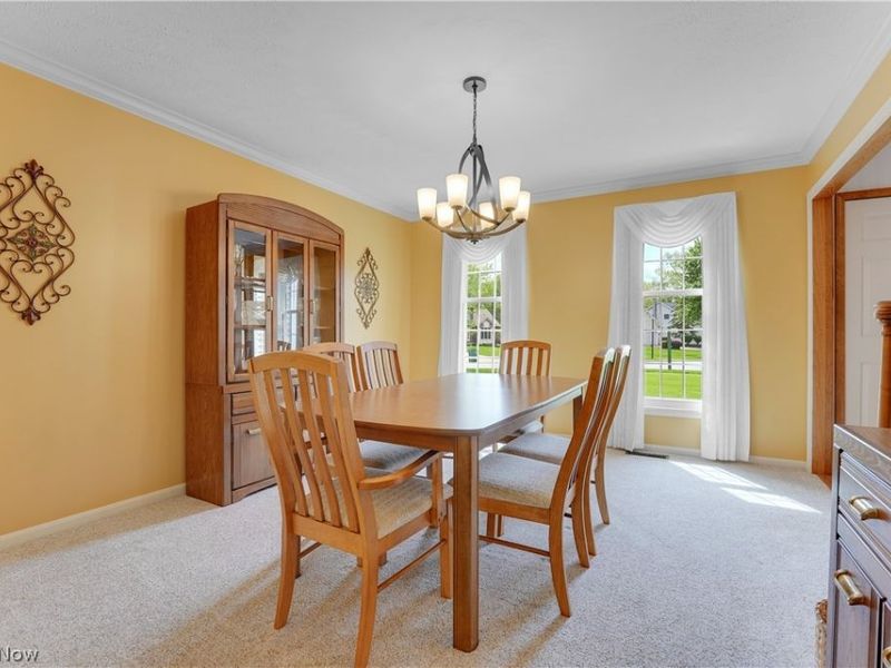 10172 Bissell Drive, Twinsburg, OH 44087 Photo 10