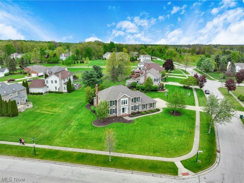 10172 Bissell Drive, Twinsburg, OH 44087 Photo 45