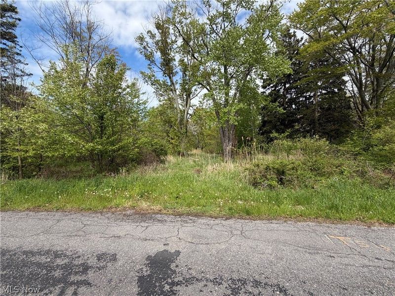 1445 Parkview Drive, Madison, OH 44057 Photo 4