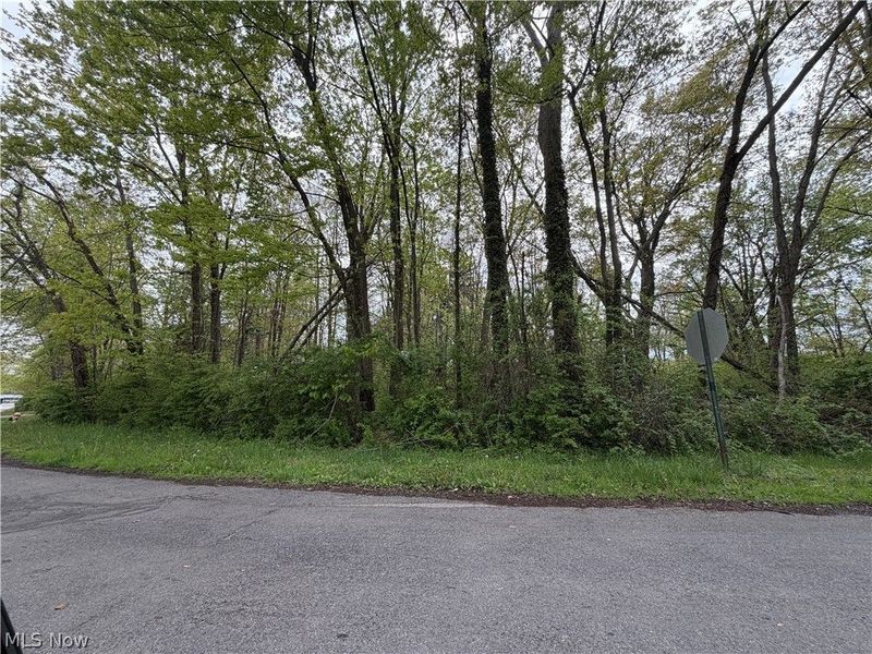 1445 Parkview Drive, Madison, OH 44057 Photo 6