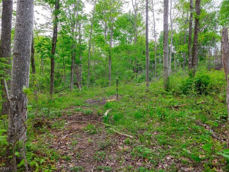 37795 Sheep Skin Ridge , Lower Salem, OH 45745 Photo 1