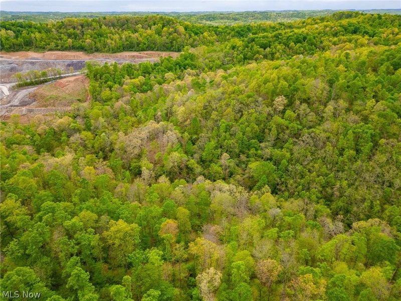 37795 Sheep Skin Ridge , Lower Salem, OH 45745 Photo 17