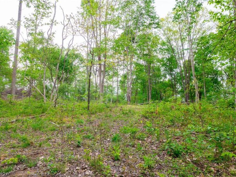 37795 Sheep Skin Ridge, Lower Salem, OH 45745 Photo 19