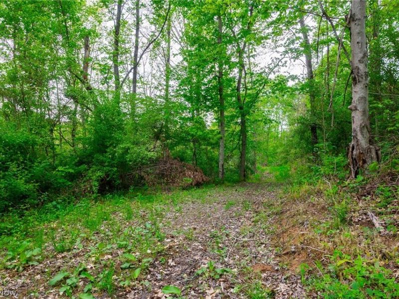 37795 Sheep Skin Ridge, Lower Salem, OH 45745 Photo 23