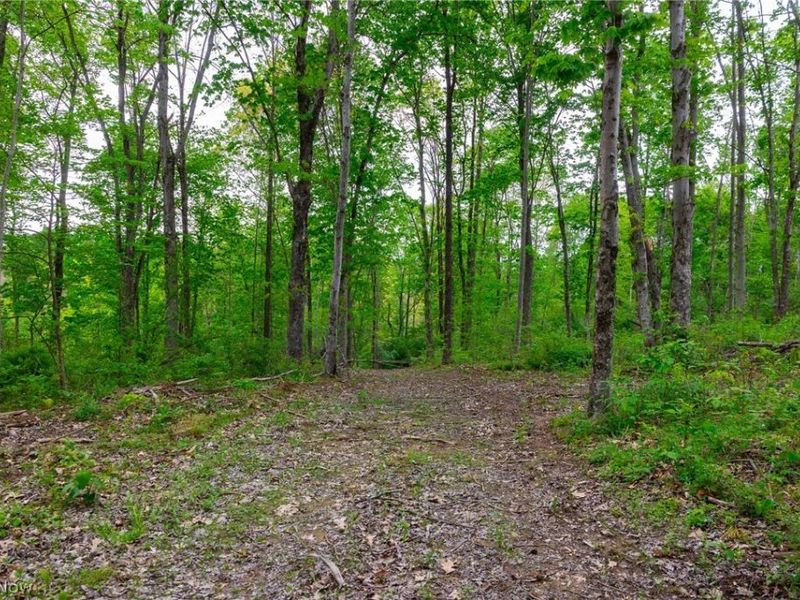 37795 Sheep Skin Ridge, Lower Salem, OH 45745 Photo 25