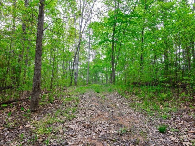 37795 Sheep Skin Ridge , Lower Salem, OH 45745 Photo 3