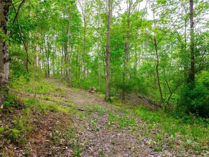 37795 Sheep Skin Ridge, Lower Salem, OH 45745 Photo 34