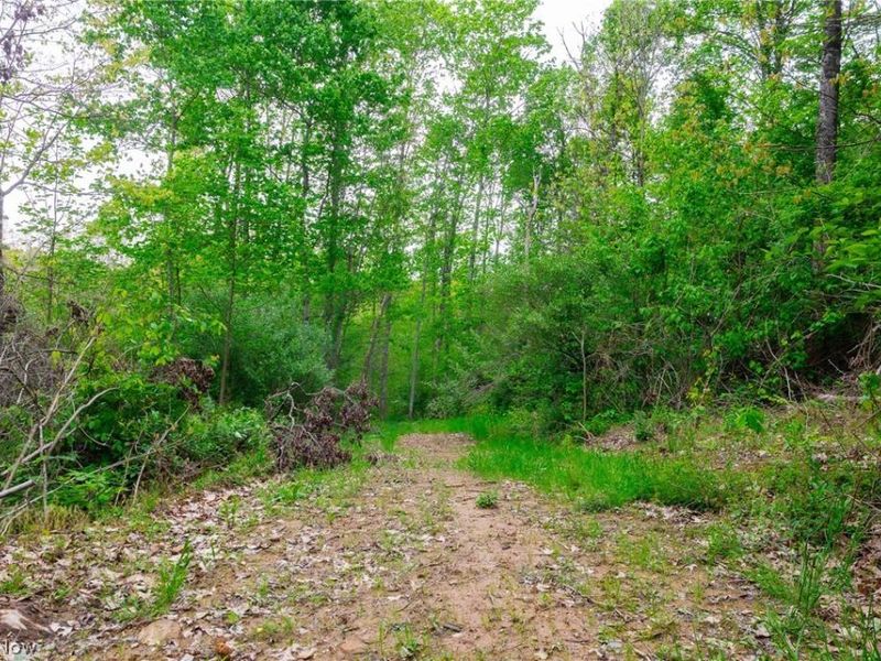 37795 Sheep Skin Ridge , Lower Salem, OH 45745 Photo 7