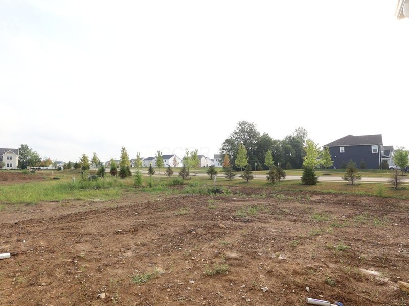 467 Zelkova Lane, Lewis Center, OH 43035 Photo 12