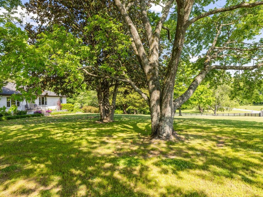 Property Image 55