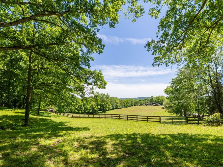 Property Image 65