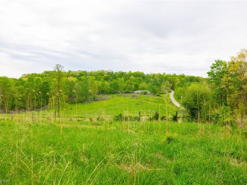 37795 Sheep Skin Ridge , Lower Salem, OH 45745 Photo 11