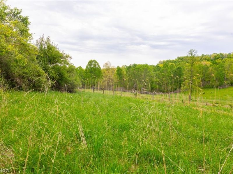 37795 Sheep Skin Ridge , Lower Salem, OH 45745 Photo 12