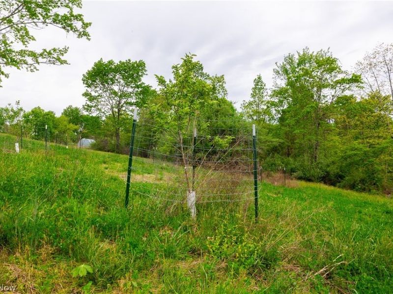 37795 Sheep Skin Ridge, Lower Salem, OH 45745 Photo 17