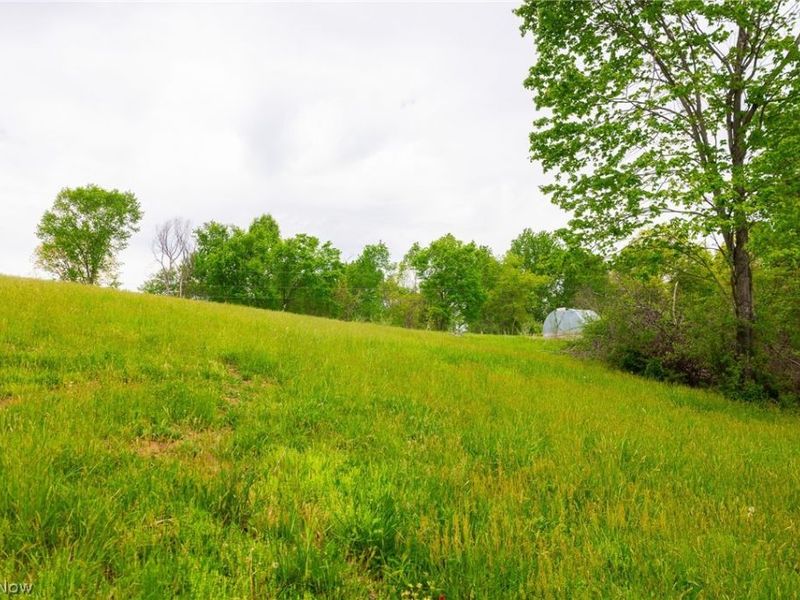 37795 Sheep Skin Ridge, Lower Salem, OH 45745 Photo 18