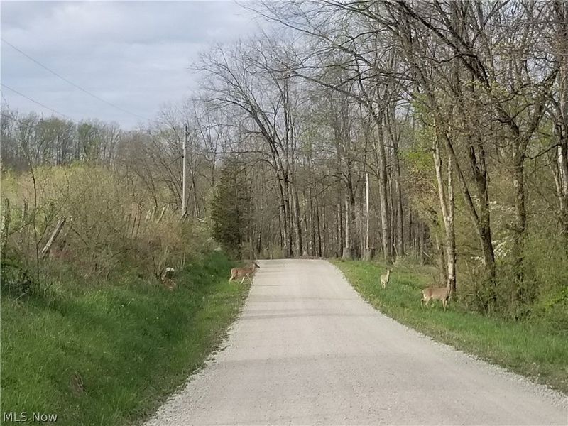 37795 Sheep Skin Ridge, Lower Salem, OH 45745 Photo 29