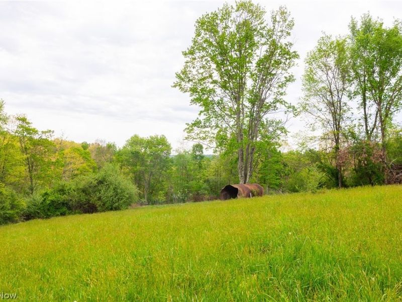 37795 Sheep Skin Ridge , Lower Salem, OH 45745 Photo 4