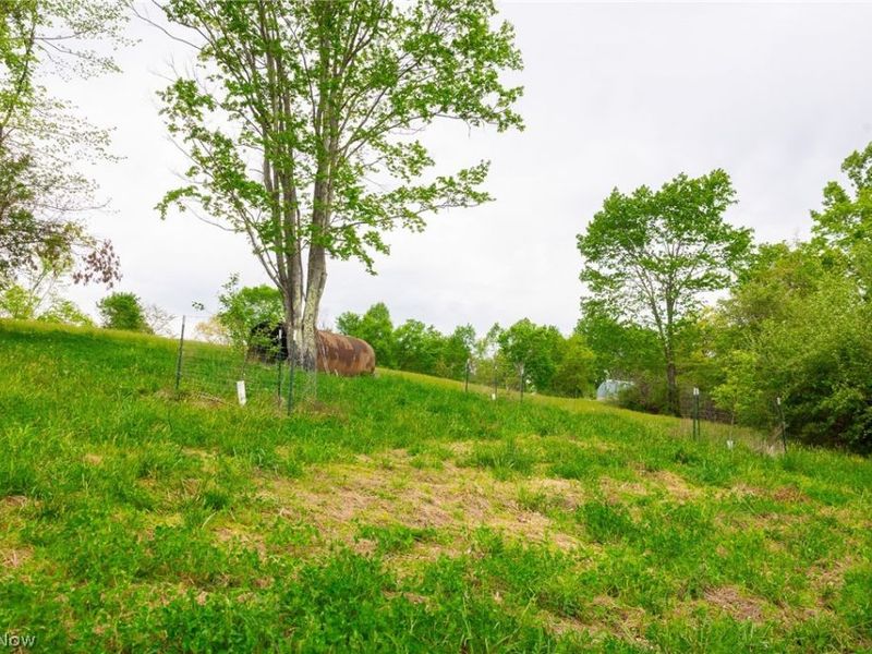 37795 Sheep Skin Ridge , Lower Salem, OH 45745 Photo 7