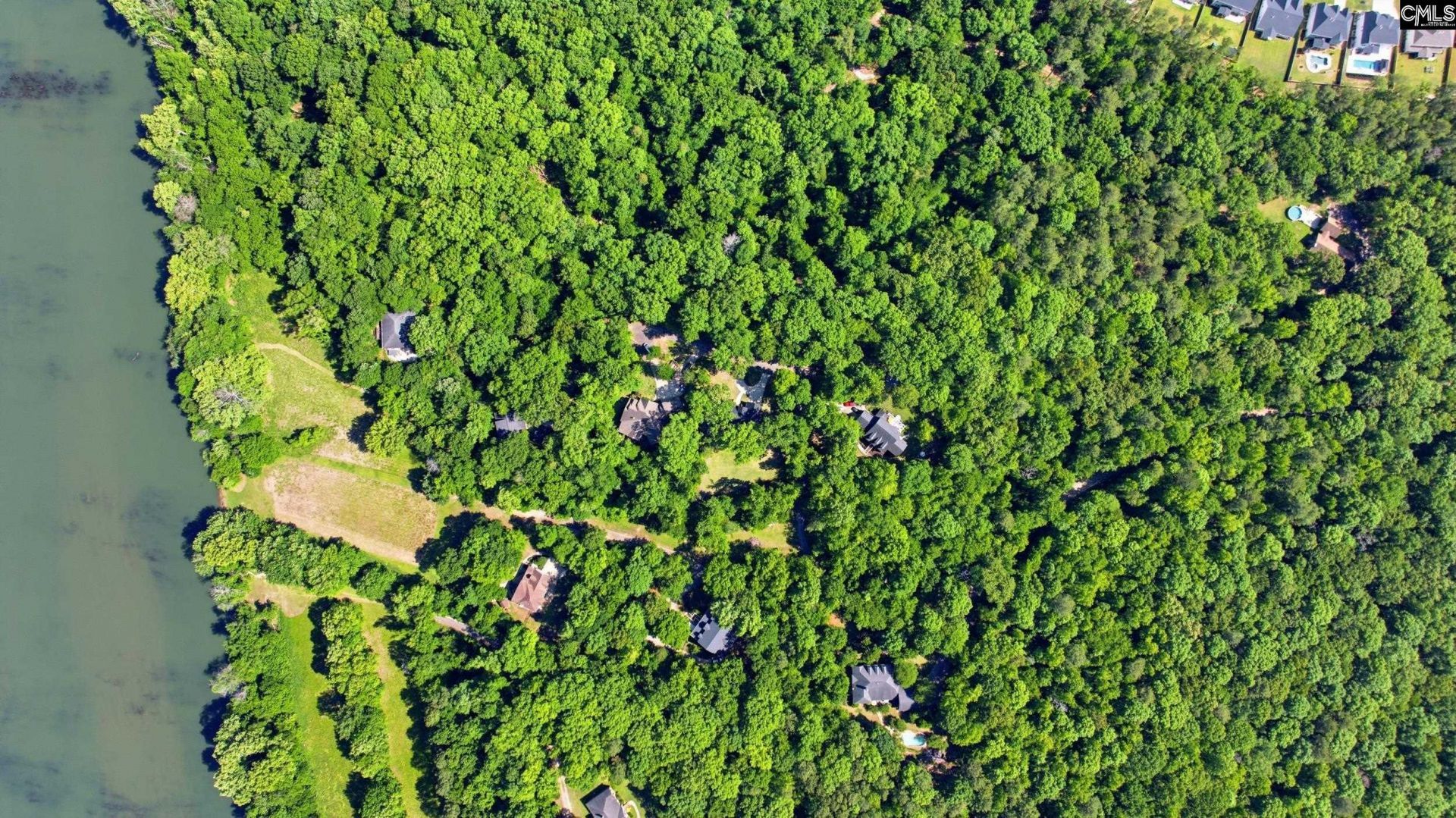 1 Broad Bluff Court  Photo 50