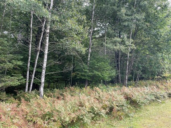 Lot 8 Hermosa Lane, Hayward, WI 54843