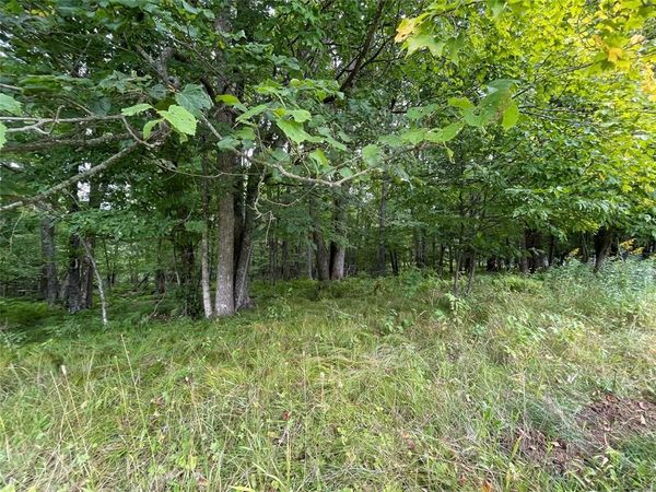 Lot 9 Hermosa Lane, Hayward, WI 54843