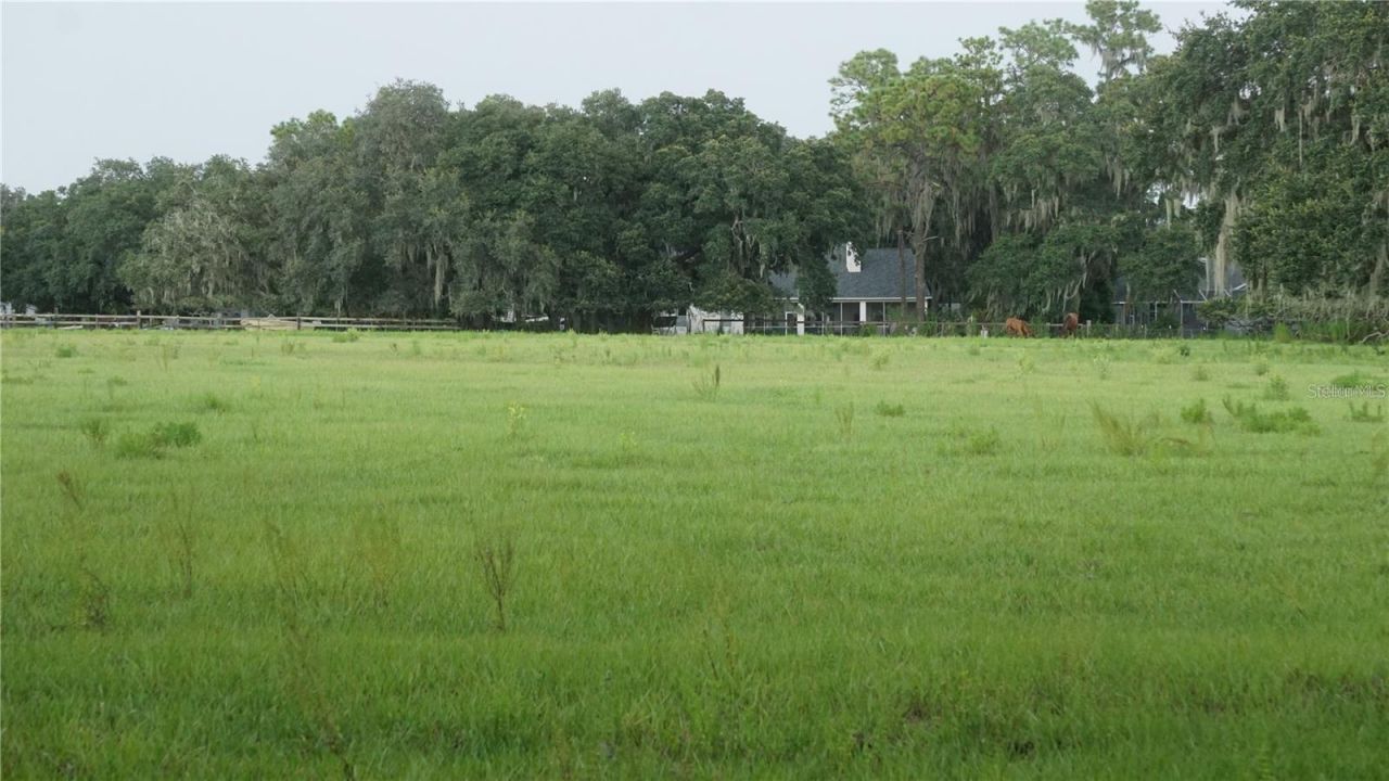 Durant Rd , Dover, FL 33527 Photo