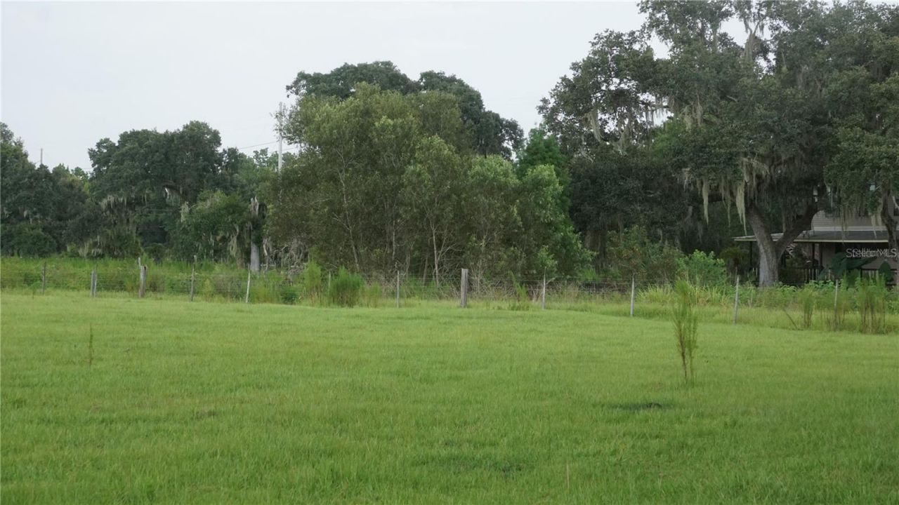 Durant Rd , Dover, FL 33527 Photo