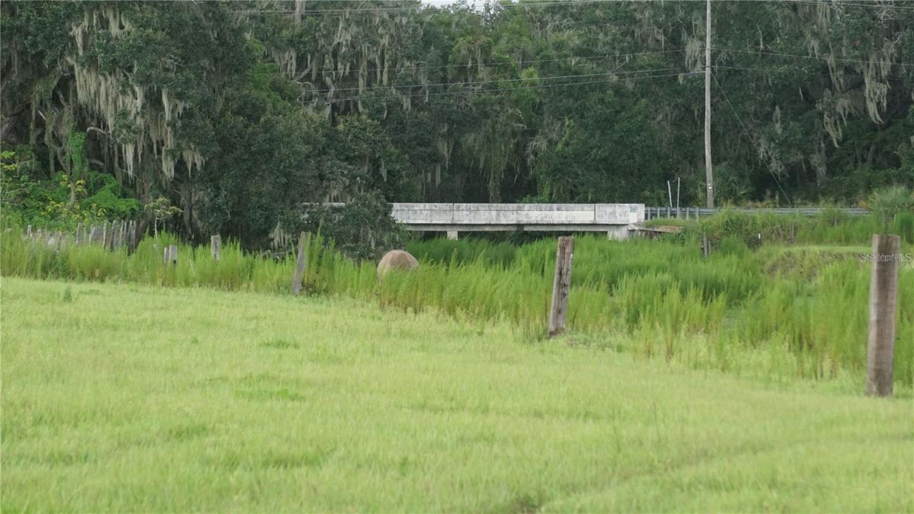 Durant Rd , Dover, FL 33527 Photo