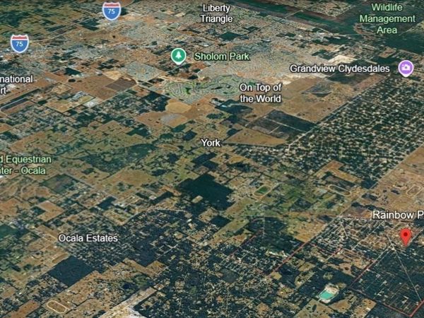 SW 12TH PLACE, OCALA, FL 34481