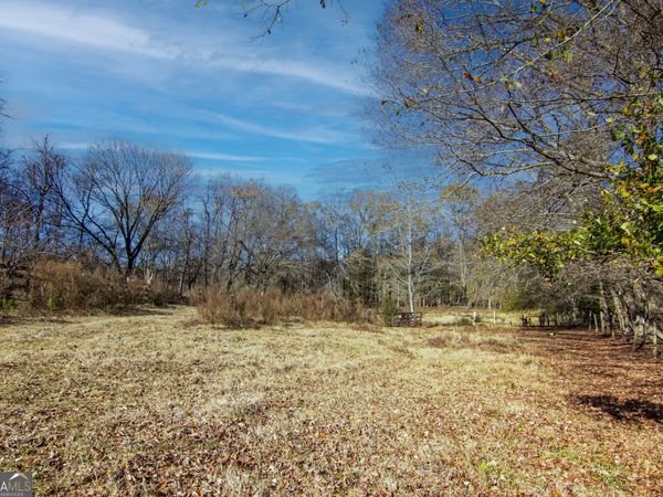 TRACT 2 - 0 ST. PAUL CHURCH Road, Shiloh, GA 31826