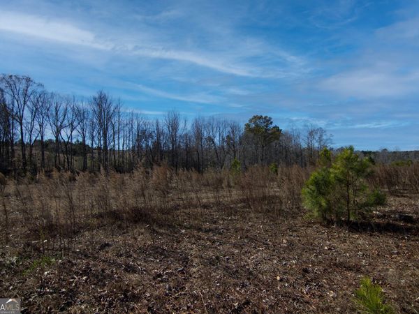 TRACT 6 - 0 CHESTNUT GROVE Road, Shiloh, GA 31826