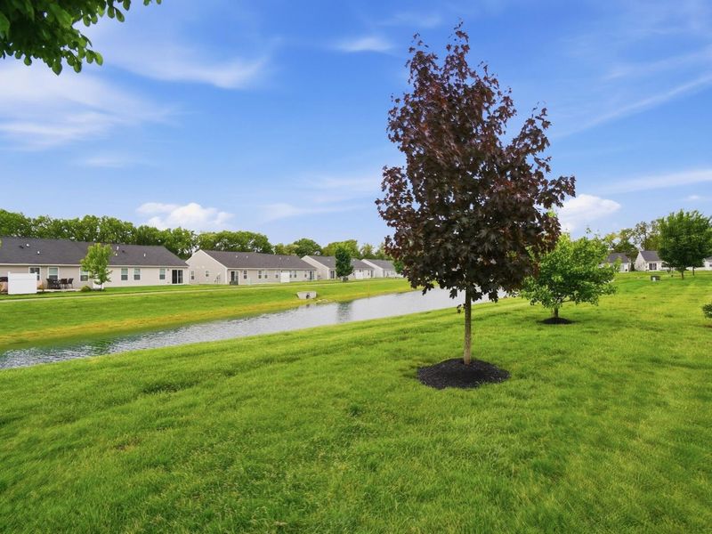 6449 Turning Stone Loop , Canal Winchester, OH 43110 Photo 30