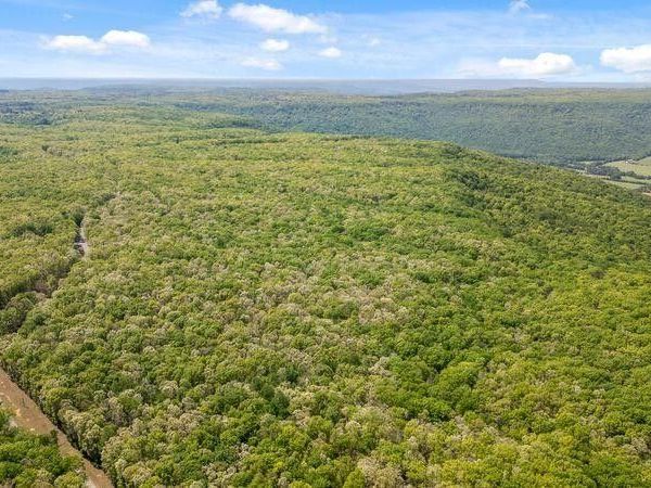 0 Deepwoods Road, Sewanee, TN 37375