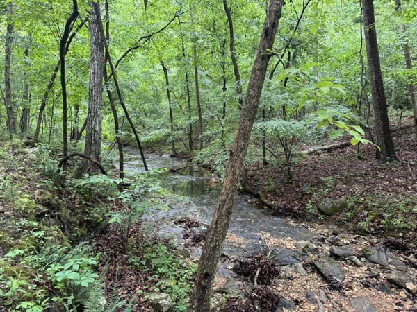 160A S AR 9 Hwy , Melbourne, AR 72556