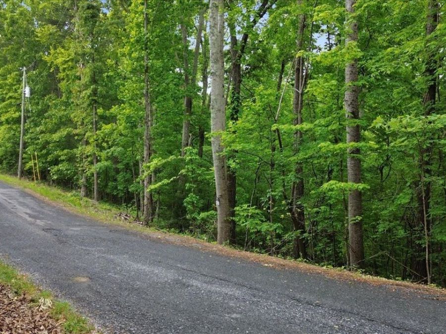 Property Image 11