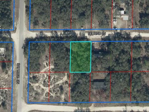 11548 NE 62ND LANE , WILLISTON, FL 32696