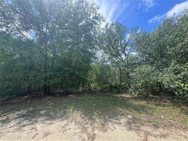 11548 NE 62ND LANE , WILLISTON, FL 32696
