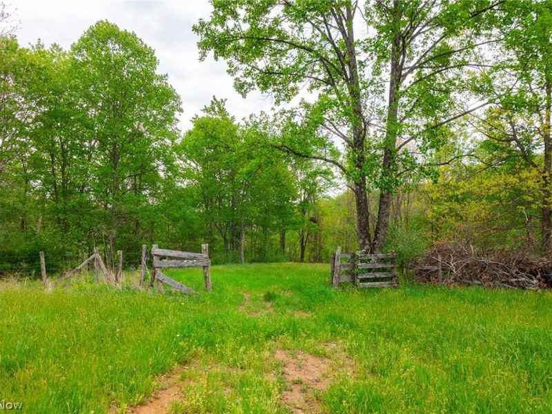 37795 Sheep Skin Ridge , Lower Salem, OH 45745 Photo 11