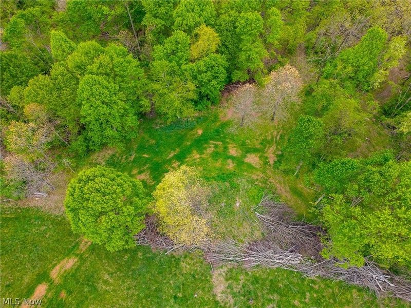37795 Sheep Skin Ridge , Lower Salem, OH 45745 Photo 18