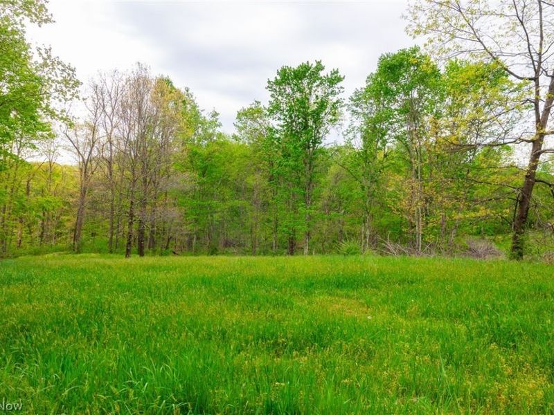 37795 Sheep Skin Ridge , Lower Salem, OH 45745 Photo 5