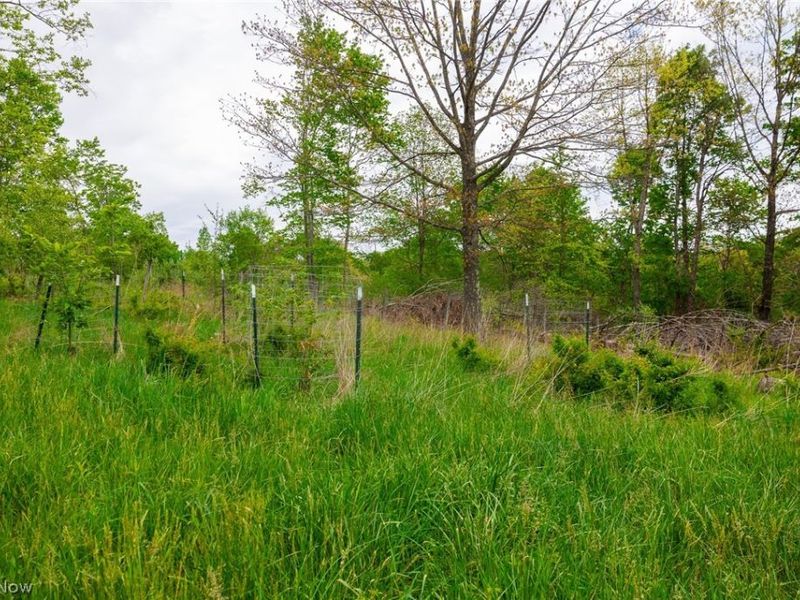 37795 Sheep Skin Ridge, Lower Salem, OH 45745 Photo 6